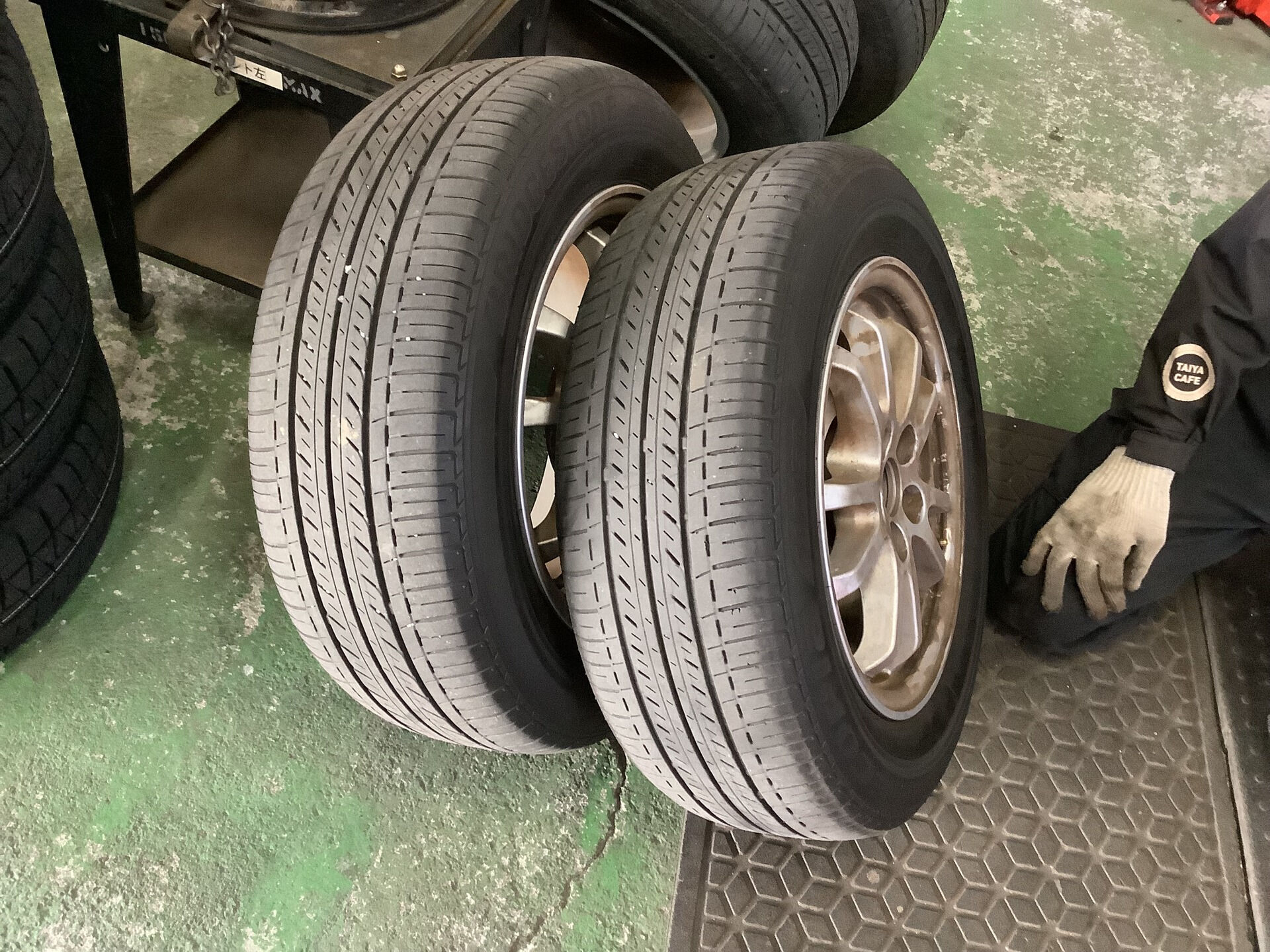 今日は晴れた空の下、冬の訪れを感じる冷たい風が吹いていますね