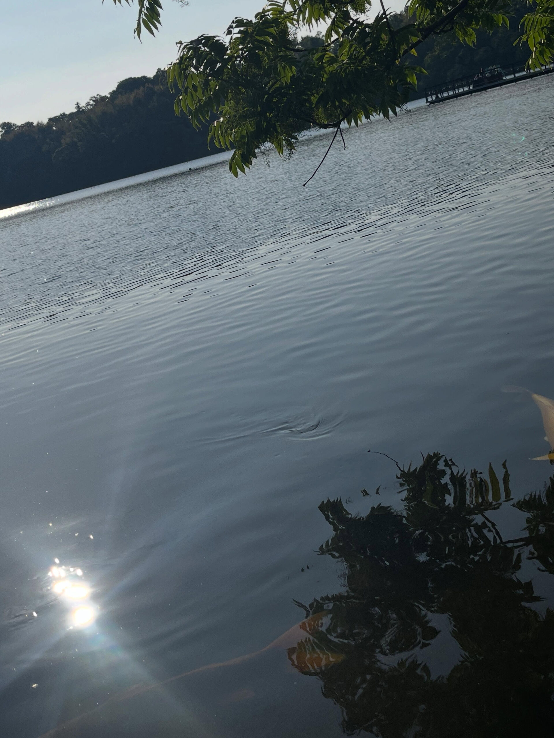 お出かけ日和な日が続いています☀️