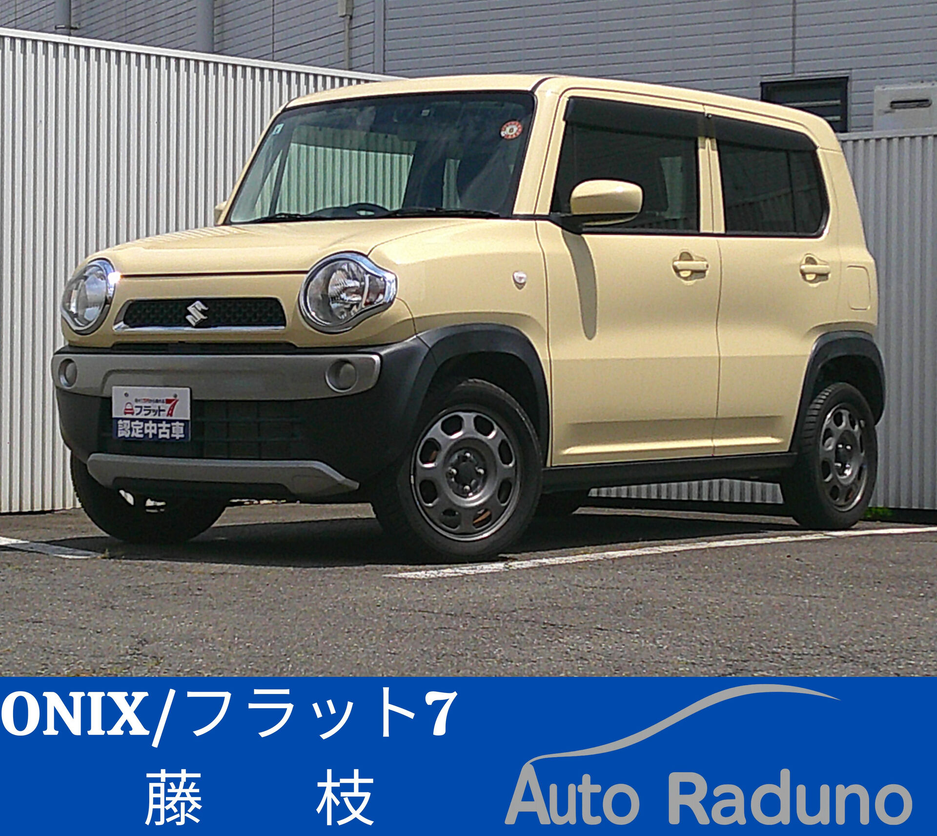 新入庫車情報✨