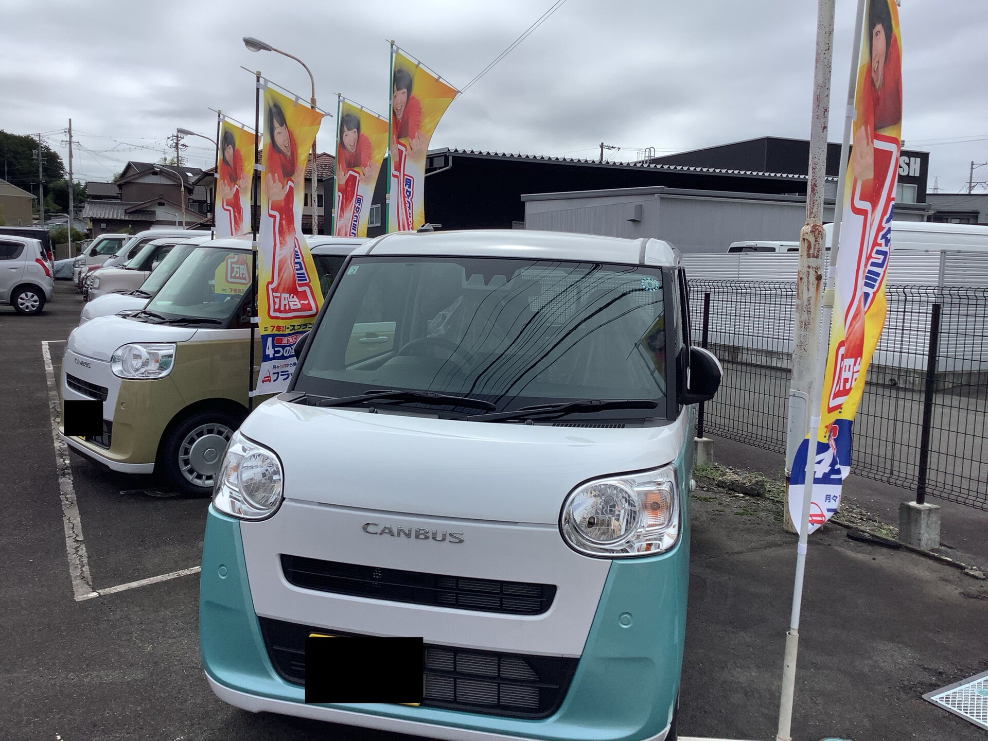 お天気回復しました🌤️